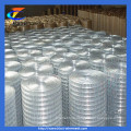 304 Stainless Steel Welded Wire Mesh (CT-3)